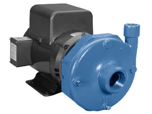8BF2J9B0 - Goulds Pumps 3656 M Centrifugal Pump