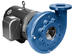 6BF1K1E0 - Goulds Pumps 3656 S Centrifugal Pump