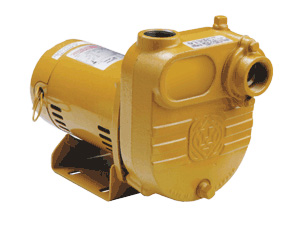 Effluent Pumps - Self Priming