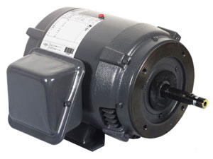 P318 - AO Smith Close Coupled Pump Motor